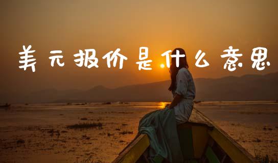 美元报价是什么意思_https://m.jnlaobingbanjia.com_股市新闻_第1张