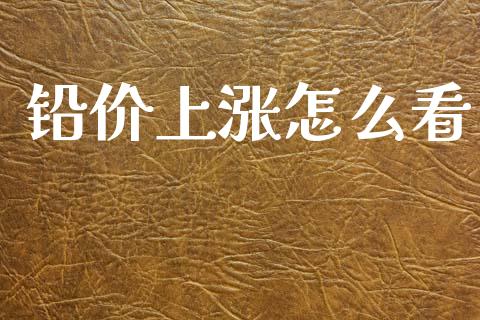 铅价上涨怎么看_https://m.jnlaobingbanjia.com_股市新闻_第1张