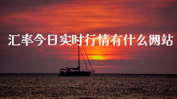 汇率今日实时行情有什么网站_https://m.jnlaobingbanjia.com_全球市场_第1张