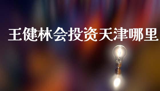 王健林会投资天津哪里_https://m.jnlaobingbanjia.com_基金市场_第1张