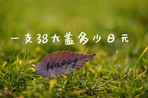一支38大盖多少日元_https://m.jnlaobingbanjia.com_区块链_第1张