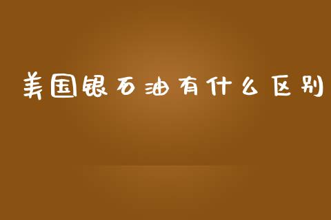 美国银石油有什么区别_https://m.jnlaobingbanjia.com_股市新闻_第1张