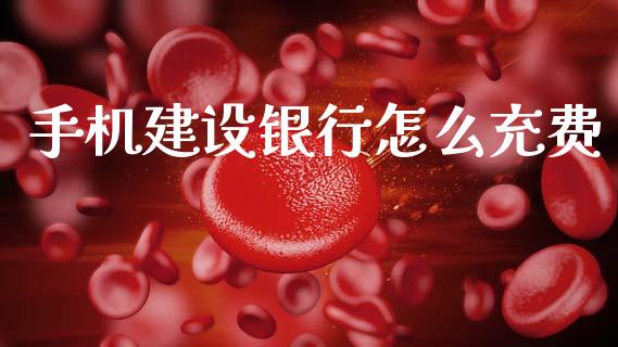 手机建设银行怎么充费_https://m.jnlaobingbanjia.com_基金市场_第1张