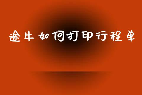 途牛如何打印行程单_https://m.jnlaobingbanjia.com_全球市场_第1张