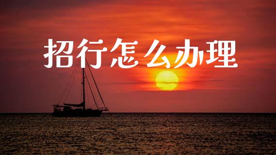 招行怎么办理_https://m.jnlaobingbanjia.com_股市新闻_第1张