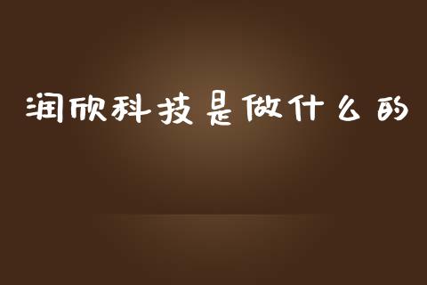 润欣科技是做什么的_https://m.jnlaobingbanjia.com_金融监管_第1张