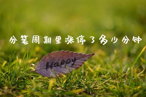 分笔周期里涨停了多少分钟_https://m.jnlaobingbanjia.com_金融监管_第1张