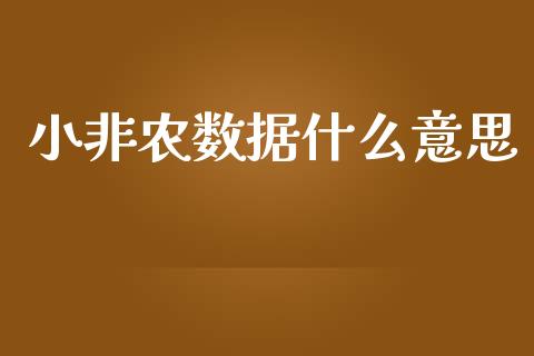 小非农数据什么意思_https://m.jnlaobingbanjia.com_金融监管_第1张