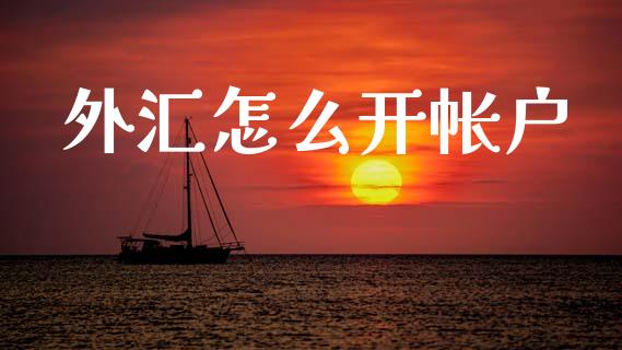 外汇怎么开帐户_https://m.jnlaobingbanjia.com_股市新闻_第1张