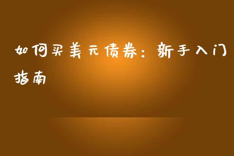 如何买美元债券：新手入门指南_https://m.jnlaobingbanjia.com_金融监管_第1张