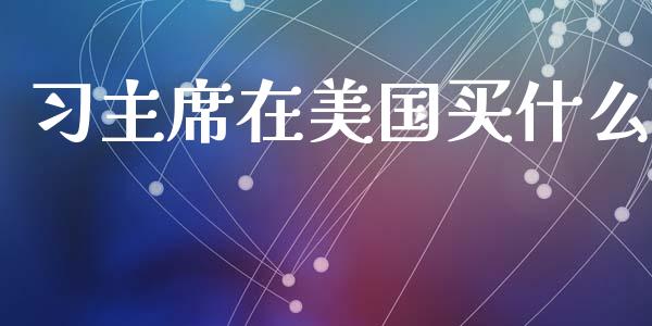 习主席在美国买什么_https://m.jnlaobingbanjia.com_基金市场_第1张