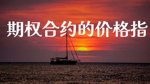 期权合约的价格指_https://m.jnlaobingbanjia.com_全球市场_第1张