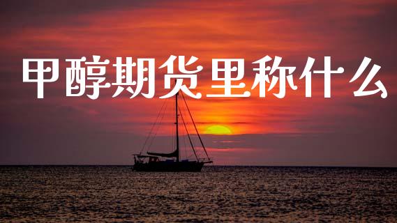 甲醇期货里称什么_https://m.jnlaobingbanjia.com_金融监管_第1张