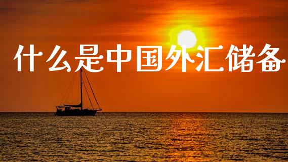 什么是中国外汇储备_https://m.jnlaobingbanjia.com_基金市场_第1张