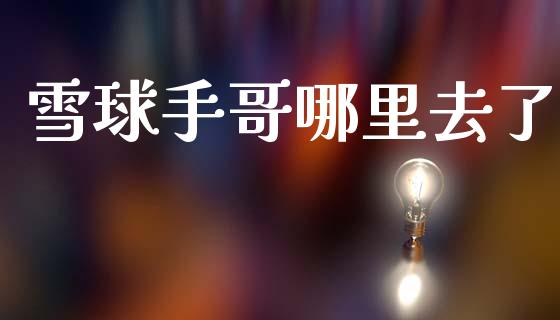 雪球手哥哪里去了_https://m.jnlaobingbanjia.com_区块链_第1张