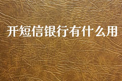 开短信银行有什么用_https://m.jnlaobingbanjia.com_股市新闻_第1张