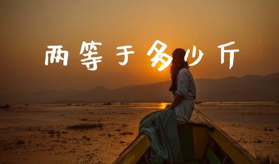 两等于多少斤_https://m.jnlaobingbanjia.com_基金市场_第1张