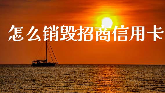 怎么销毁招商信用卡_https://m.jnlaobingbanjia.com_金融监管_第1张