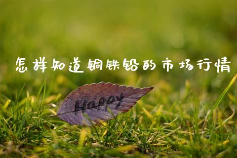 怎样知道铜铁铅的市场行情_https://m.jnlaobingbanjia.com_理财规划_第1张