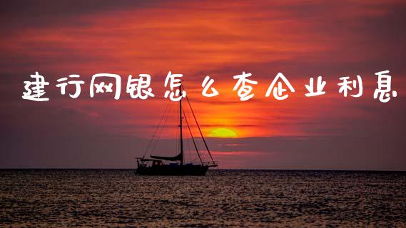 建行网银怎么查企业利息_https://m.jnlaobingbanjia.com_全球市场_第1张