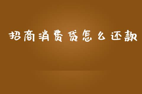 招商消费贷怎么还款_https://m.jnlaobingbanjia.com_金融监管_第1张