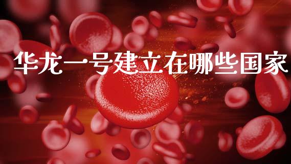 华龙一号建立在哪些国家_https://m.jnlaobingbanjia.com_基金市场_第1张