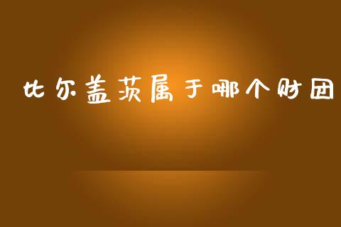 比尔盖茨属于哪个财团_https://m.jnlaobingbanjia.com_区块链_第1张