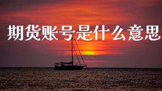 期货账号是什么意思_https://m.jnlaobingbanjia.com_区块链_第1张