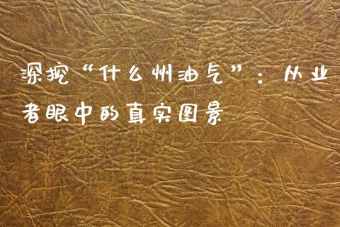 深挖“什么州油气”：从业者眼中的真实图景_https://m.jnlaobingbanjia.com_区块链_第1张