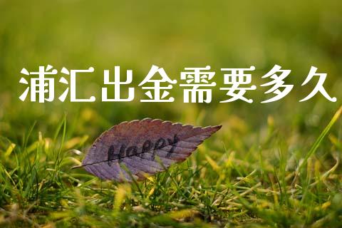 浦汇出金需要多久_https://m.jnlaobingbanjia.com_理财规划_第1张