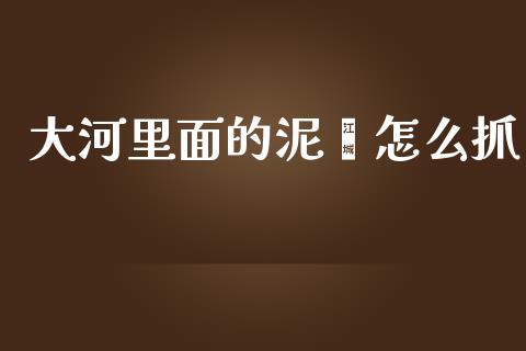 大河里面的泥鳅怎么抓_https://m.jnlaobingbanjia.com_金融监管_第1张