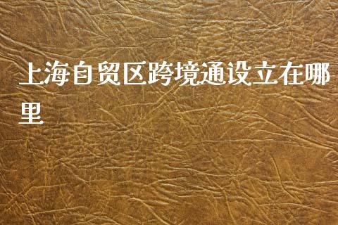 上海自贸区跨境通设立在哪里_https://m.jnlaobingbanjia.com_区块链_第1张