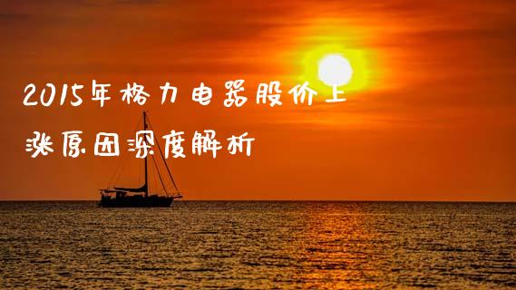 2015年格力电器股价上涨原因深度解析_https://m.jnlaobingbanjia.com_基金市场_第1张