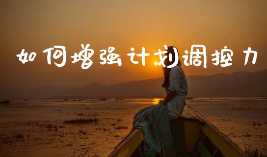 如何增强计划调控力_https://m.jnlaobingbanjia.com_股市新闻_第1张
