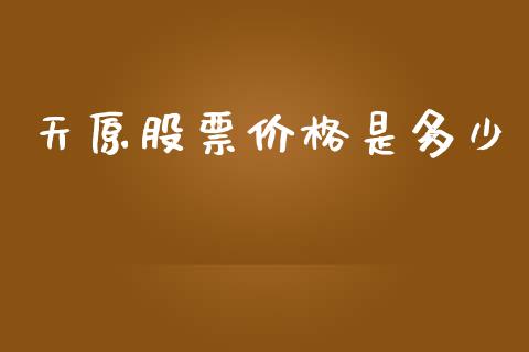 天原股票价格是多少_https://m.jnlaobingbanjia.com_股市新闻_第1张