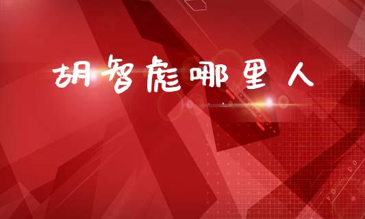 胡智彪哪里人_https://m.jnlaobingbanjia.com_股市新闻_第1张