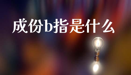 成份b指是什么_https://m.jnlaobingbanjia.com_理财规划_第1张
