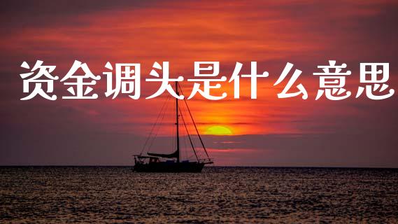 资金调头是什么意思_https://m.jnlaobingbanjia.com_基金市场_第1张