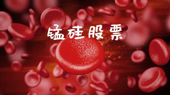 锰硅股票_https://m.jnlaobingbanjia.com_金融监管_第1张