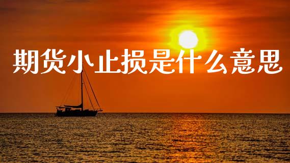 期货小止损是什么意思_https://m.jnlaobingbanjia.com_全球市场_第1张