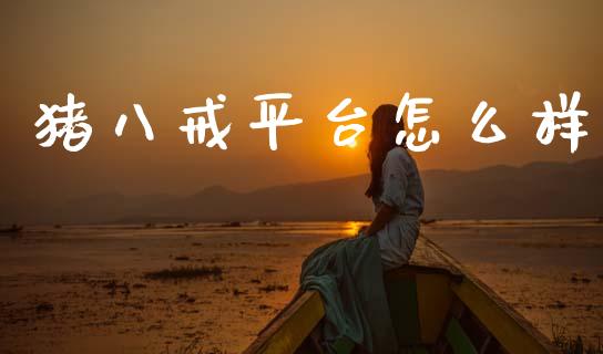 猪八戒平台怎么样_https://m.jnlaobingbanjia.com_金融监管_第1张