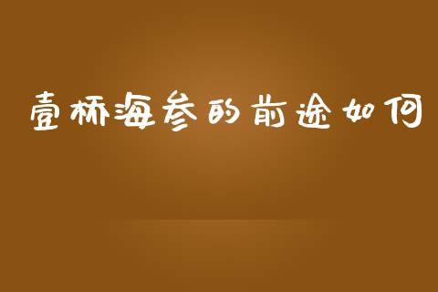 壹桥海参的前途如何_https://m.jnlaobingbanjia.com_理财规划_第1张