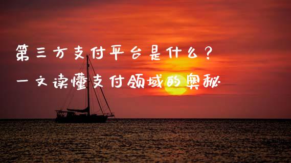 第三方支付平台是什么？ 一文读懂支付领域的奥秘_https://m.jnlaobingbanjia.com_全球市场_第1张