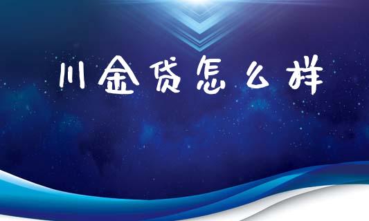 川金贷怎么样_https://m.jnlaobingbanjia.com_理财规划_第1张