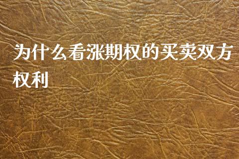 为什么看涨期权的买卖双方权利_https://m.jnlaobingbanjia.com_区块链_第1张