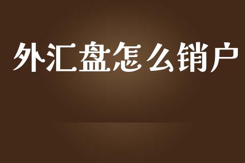 外汇盘怎么销户_https://m.jnlaobingbanjia.com_股市新闻_第1张