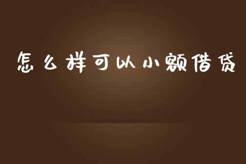怎么样可以小额借贷_https://m.jnlaobingbanjia.com_全球市场_第1张