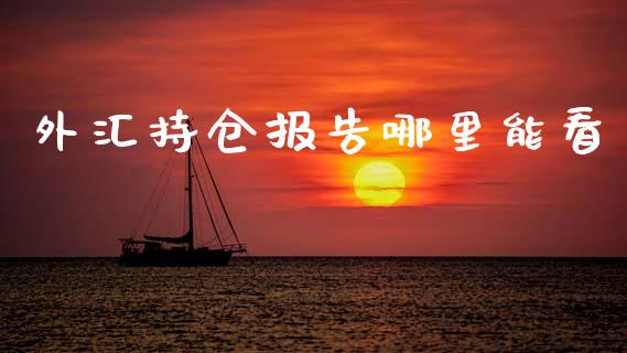 外汇持仓报告哪里能看_https://m.jnlaobingbanjia.com_区块链_第1张