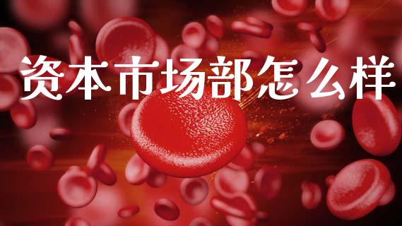 资本市场部怎么样_https://m.jnlaobingbanjia.com_全球市场_第1张