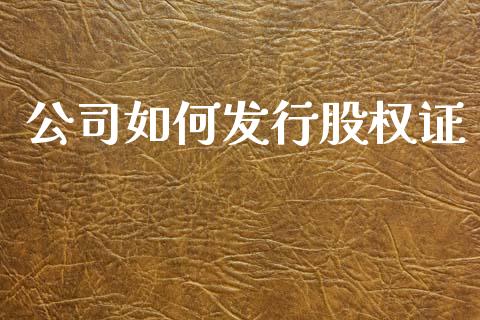 公司如何发行股权证_https://m.jnlaobingbanjia.com_理财规划_第1张